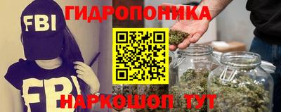 каннабис Новозыбков